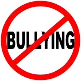 bullying / bullying